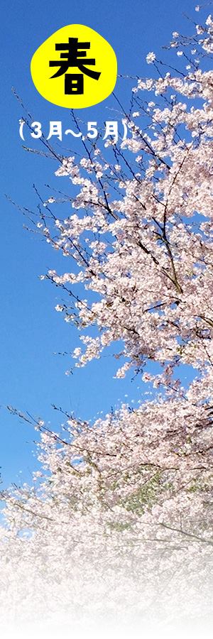 春のイベント