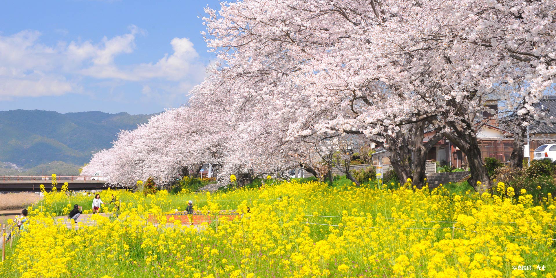 画像：島田川河川公園