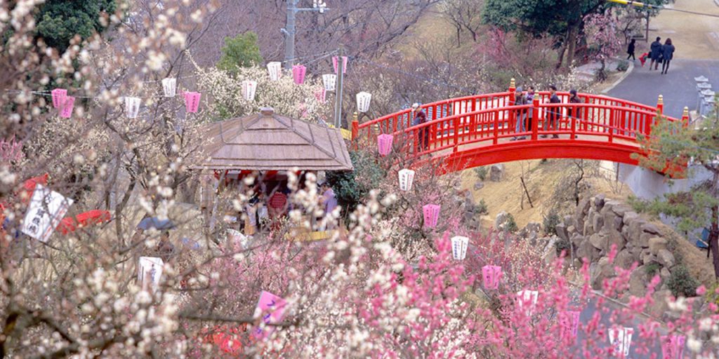 冠山総合公園　梅の里（冠梅園）