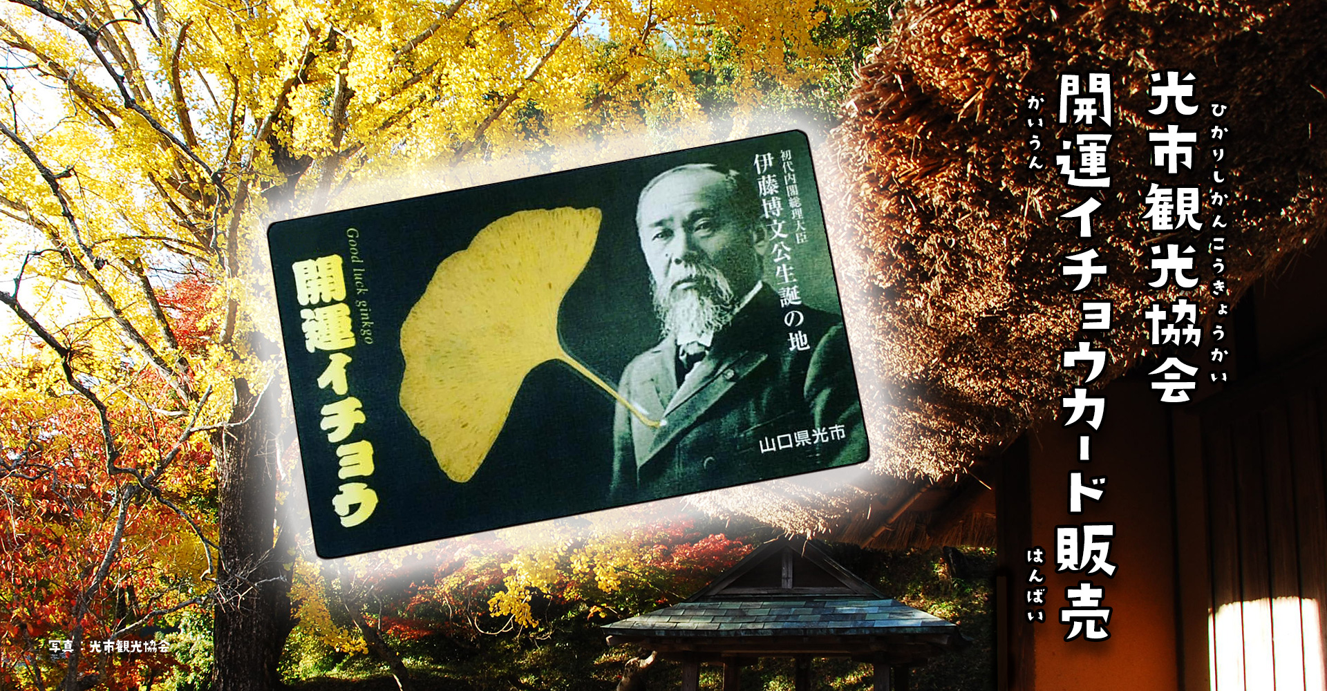 ［予約受付12/1(金)より］開運イチョウカード限定販売